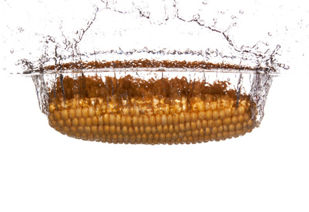 Corn on the cob sinking underwaterの写真素材