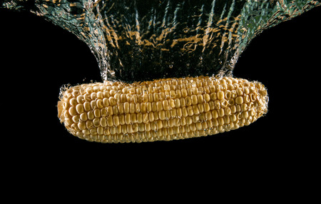 Corn on the cob sinking underwaterの写真素材