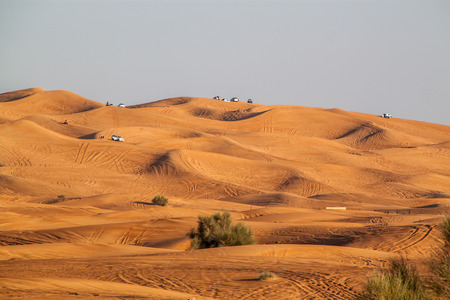 Desert landscape with trails from safari vehiclesの写真素材