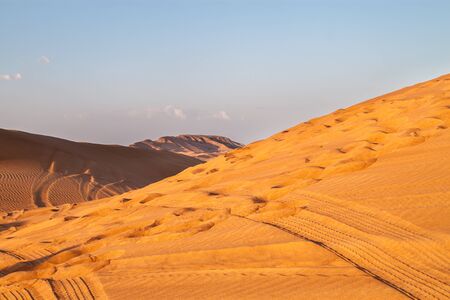 Desert landscape with trails from safari vehicles