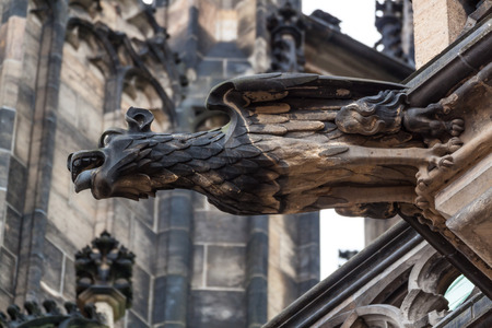 Gargoyle statue on Saint Vitus Cathedral in Pragueの写真素材