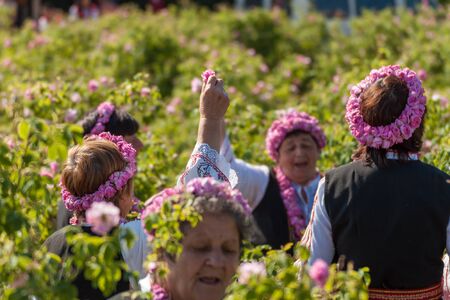 GORNO CHERKOVISHTE, BULGARIA - MAY 31, 2015 - Rose picking ritual in Gorno Izvorovo village. People dressed up in a traditional folklore costumes sing and dance for health and succesful harvest of the Bulgarian Roses.のeditorial素材