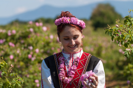 Woman dressed in a Bulgarian traditional folklore costume picking roses in a garden, as part of the summer regional ritual in Rose valley, Bulgaria.の写真素材
