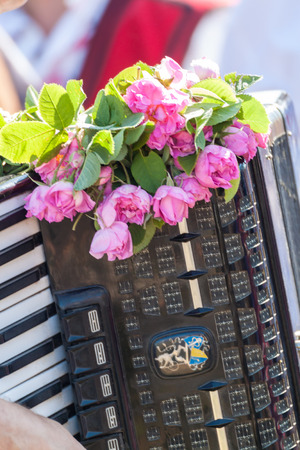 Accordion with bulgarian pink roses on itの写真素材