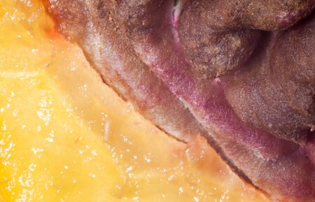Super macro shot of a peach pit