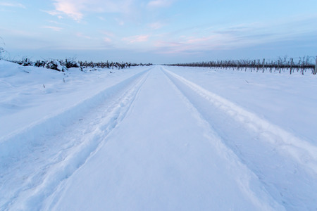 Tire track in the snow disappearing in the horizonの写真素材