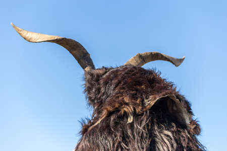 Mask with horns on a blue sky backgroundの写真素材