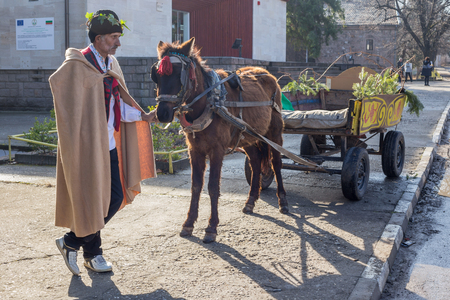 PERUSHTITSA, BULGARIA - FEBRUARY 14, 2015 - Recreating the ritual called Zariazvane in Perushtitsa, Bulgaria. People dressed in traditional clothing dance and cut the vineyards for fruitful harvest.のeditorial素材