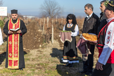 PERUSHTITSA, BULGARIA - FEBRUARY 14, 2015 - Recreating the ritual called Zariazvane in Perushtitsa, Bulgaria. People dressed in traditional clothing dance and cut the vineyards for fruitful harvest.のeditorial素材