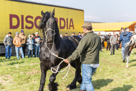 KALUGEROVO, BULGARIA - MARCH 19, 2016 - St. Theodore's Day or Horse day celebrations in Kalugerovo village, Bulgaria. The event includes horse beauty pageant and horse races called Kushiiのeditorial素材
