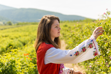 Bulgarian girl dressed in traditional clothing picking roses during the Annual Rose Festival in...