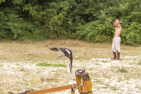 ASENVOGRAD, BULGARIA - JUNE 25, 2016 - Medieval fair in Asenovgrad recreating the life of Bulgarians during the Middle ages. Young man training a falcon to various commands.のeditorial素材