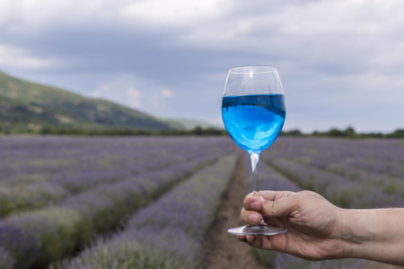 Holding a glass of blue wine on a beautiful lavender filed in the backgroundの写真素材