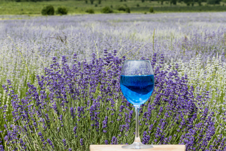 Glass of blue wine on vibrant lavender field backgroundの写真素材