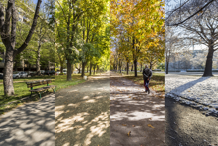 Four seasons concept. The effect of the 4 seasons on the urban environment. Four pictures of one place captured during one year and seamlessly blended in one photography composite.の写真素材
