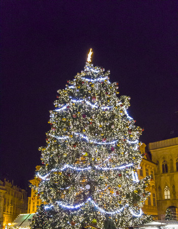 Huge Christmas tree in Prague, Czechiaの写真素材