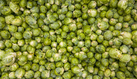 Top view of bio brussel sprouts vegetablesの写真素材