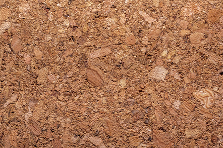 Extreme macro shot of a cork board showing the structure of the material.の写真素材