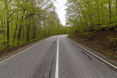 Low angle view of a road in the middle of a forest. Trees forming a tunnel over the road.の写真素材