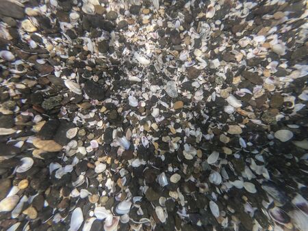 Under water view of colorful seashells and pebbles in the seaの写真素材