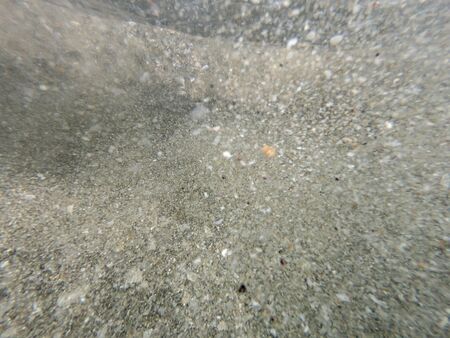 Under water view of colorful seashells and pebbles in the sea