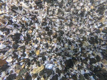 Under water view of colorful seashells and pebbles in the seaの写真素材
