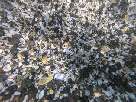 Under water view of colorful seashells and pebbles in the seaの写真素材