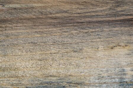 Extreme macro shot of a wooden plank with detailed textureの写真素材
