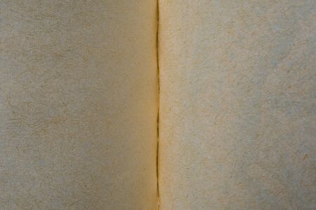 Extreme macro of old book pages with visible paper detailsの写真素材