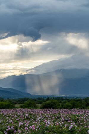 Sunbeams peaking through the clouds and lighting the Rose valley in Bulgariaの写真素材