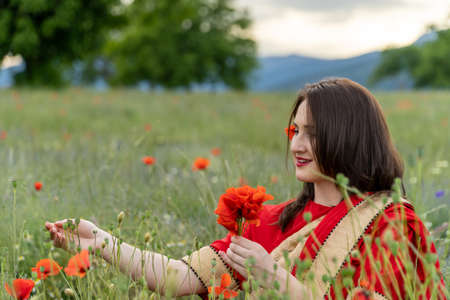 Young woman dressed in a traditional Indian costume called Sari walking in a red poppy flower fieldの写真素材
