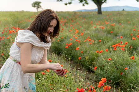 Young girl dressed in a white dress and a hat walking around a red poppy fieldの写真素材