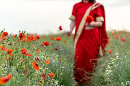Young woman dressed in a traditional Indian costume called Sari walking in a red poppy flower fieldの写真素材