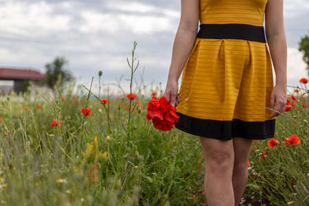 A young woman in a yellow dress in a poppy flower field with beautiful clouds in the backgroundの写真素材