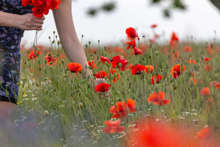 A young woman in a blue dress in a poppy flower field with beautiful clouds in the backgroundの写真素材