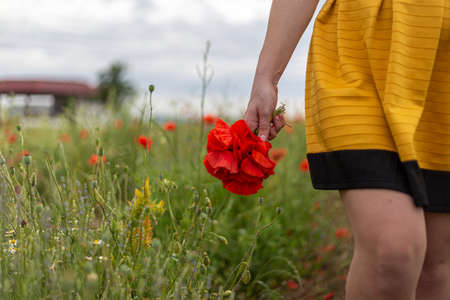 A young woman in a yellow dress in a poppy flower field with beautiful clouds in the backgroundの写真素材