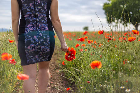 A young woman in a blue dress in a poppy flower field with beautiful clouds in the backgroundの写真素材