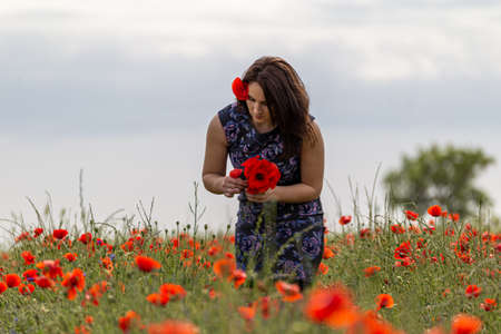 A young woman in a blue dress in a poppy flower field with beautiful clouds in the backgroundの写真素材