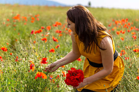 A young woman in a yellow dress in a poppy flower field with beautiful clouds in the backgroundの写真素材
