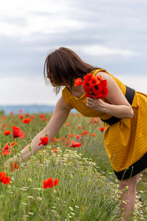 A young woman in a yellow dress in a poppy flower field with beautiful clouds in the backgroundの写真素材