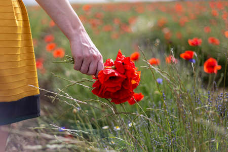 A young woman in a yellow dress in a poppy flower field with beautiful clouds in the backgroundの写真素材