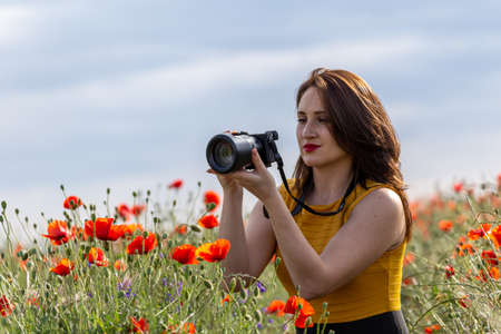 Young woman in a yellow dress holding a camera and taking pictures of a red poppy flowerの写真素材