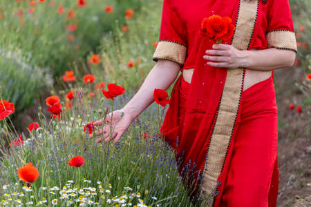 Young woman dressed in a traditional Indian costume called Sari walking in a red poppy flower fieldの写真素材