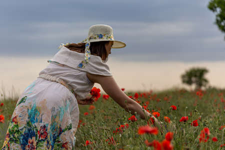 Young girl dressed in a white dress and a hat walking around a red poppy fieldの写真素材
