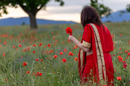 Young woman dressed in a traditional Indian costume called Sari walking in a red poppy flower fieldの写真素材