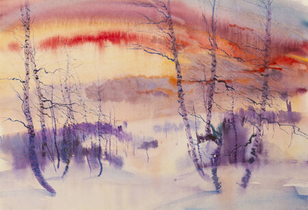birch sun snow and sunsetの写真素材