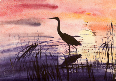 heron in the water at duskの写真素材