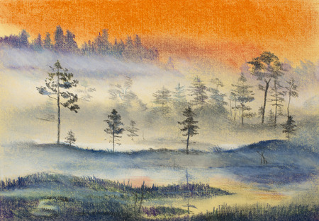 Fog in the swamp and beautiful skyの写真素材
