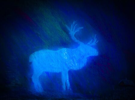 White Deer in the darkの写真素材