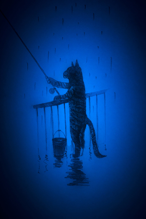 Cat fishing on the fishing rodの写真素材